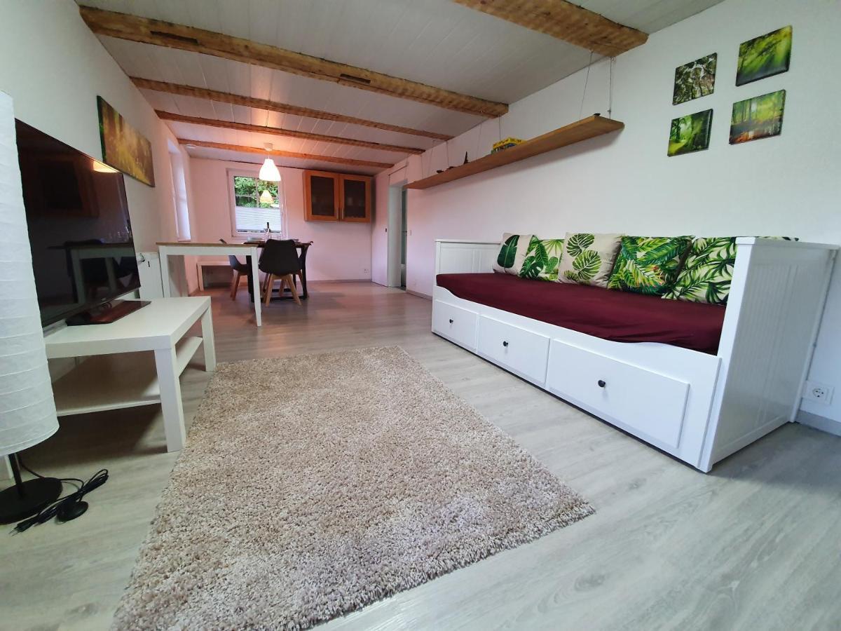 Apartment Happy Memories Titisee-Neustadt Extérieur photo